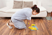 DustToShine – Domestic House Cleaning Company London