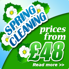 Spring cleaners Hampstead