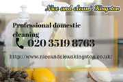 Regular domestic cleaning Kingston