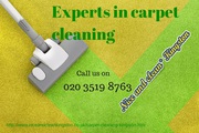 Carpet cleaners Kingston