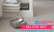 Professional carpet cleaning services