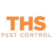 Ant Control Leeds - THS Pest Control