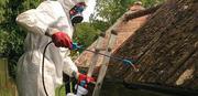 Asbestos surveys Northampton